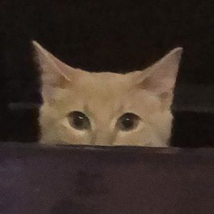 Meet your Posher, Mari